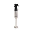 2-in-1-Standmixer HAUSBERG HB-7704IN mit 1000 W Leistung, Professioneller Vertikalmixer, 10 Geschwindigkeitsstufen und Turbofunktion, 700 ml Glaskapazität, Multifunktional, Schwarz