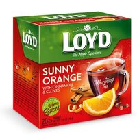 Warmer Gewürztee mit Orange, Zimt und Nelken Loyd 20x2g
