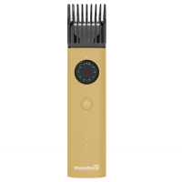 HAUSBERG HB68AU wiederaufladbarer Haarschneider mit Adapter, Gold